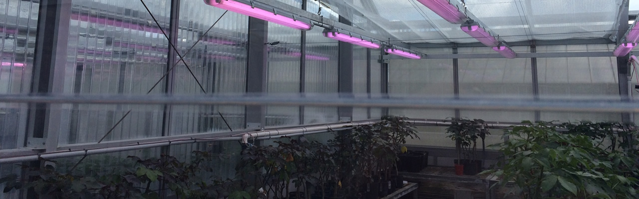 building with energy management 